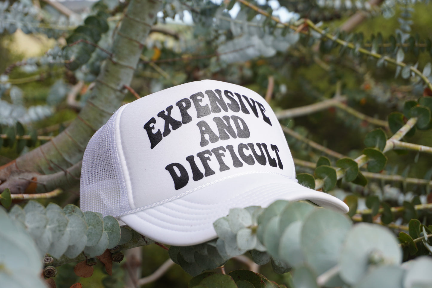 Expensive and Difficult