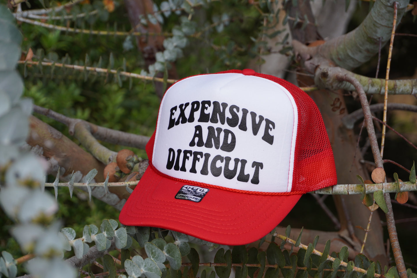 Expensive and Difficult