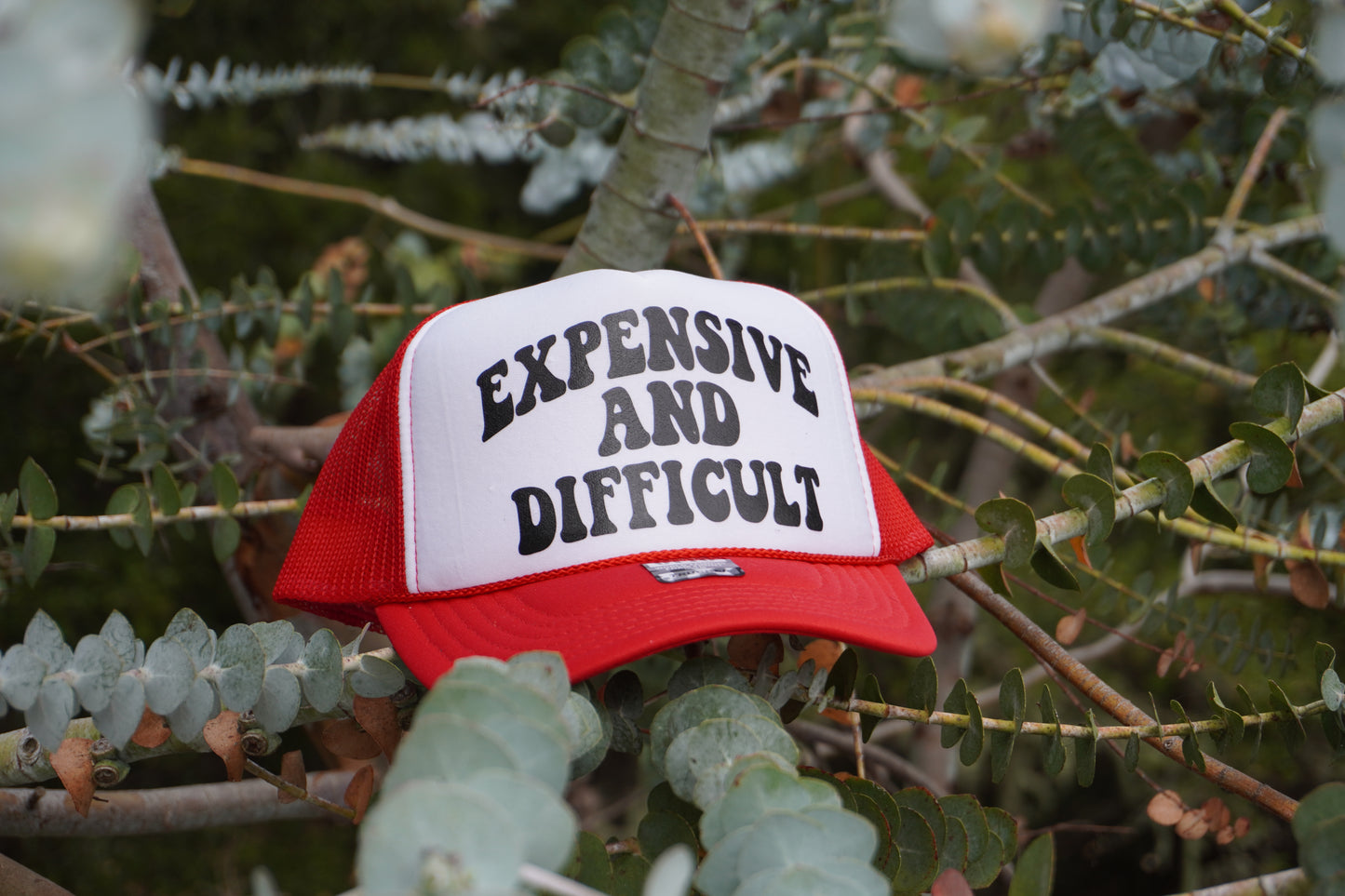 Expensive and Difficult